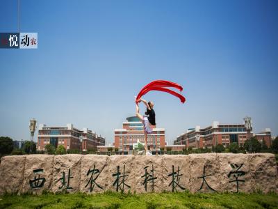 悦动西农（第一季）