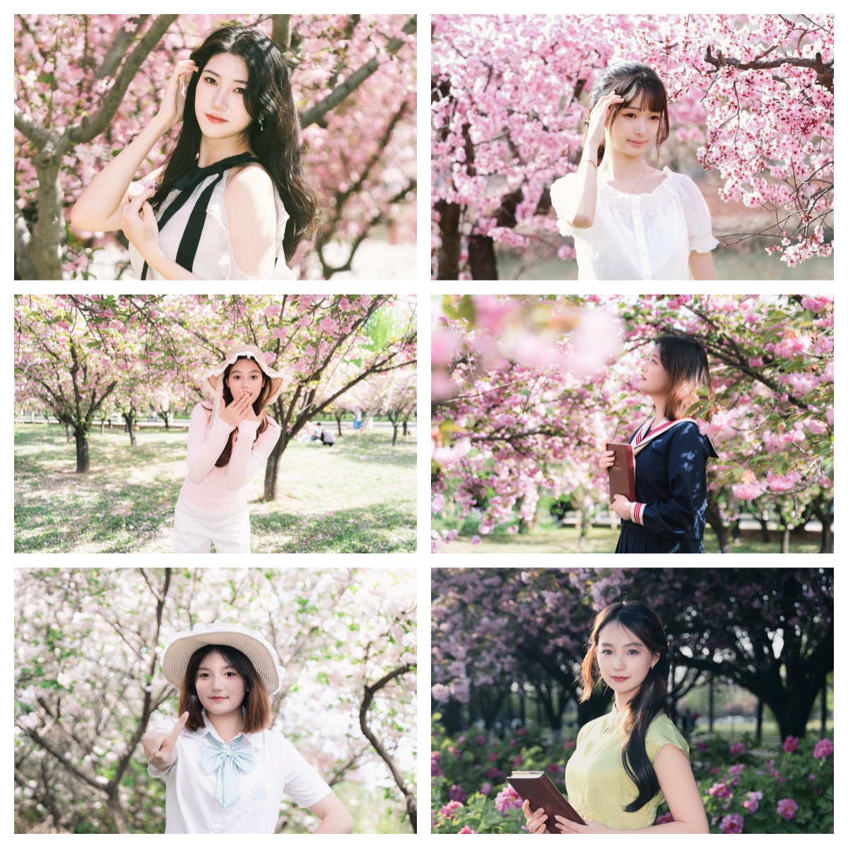 樱花季2.jpg