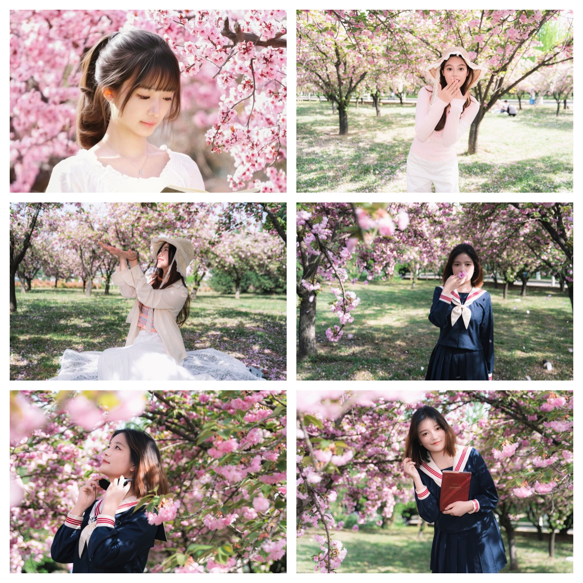 樱花季3.jpg