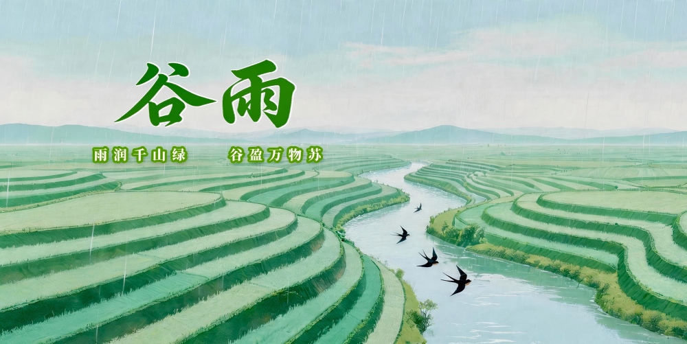 谷雨.jpg