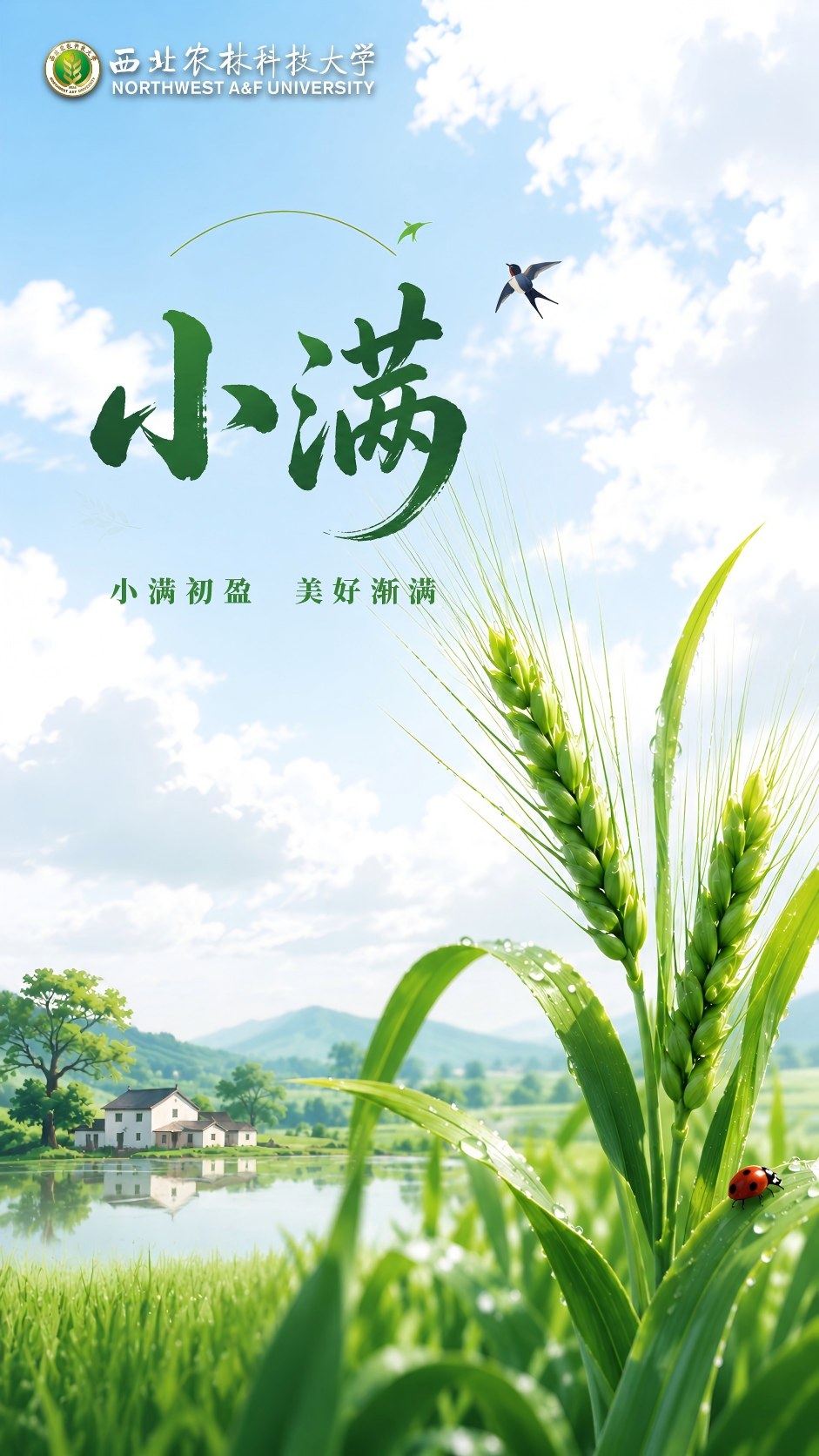 小满.jpg
