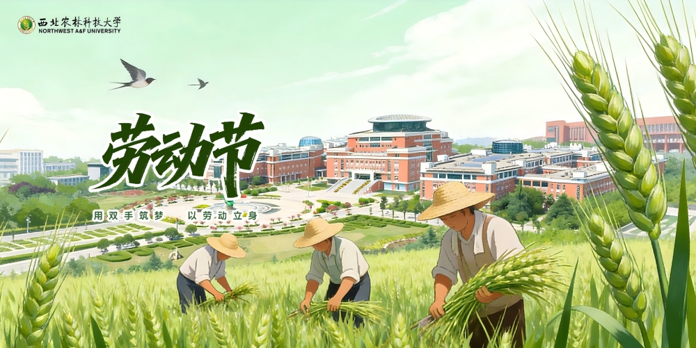 劳动节2.jpg